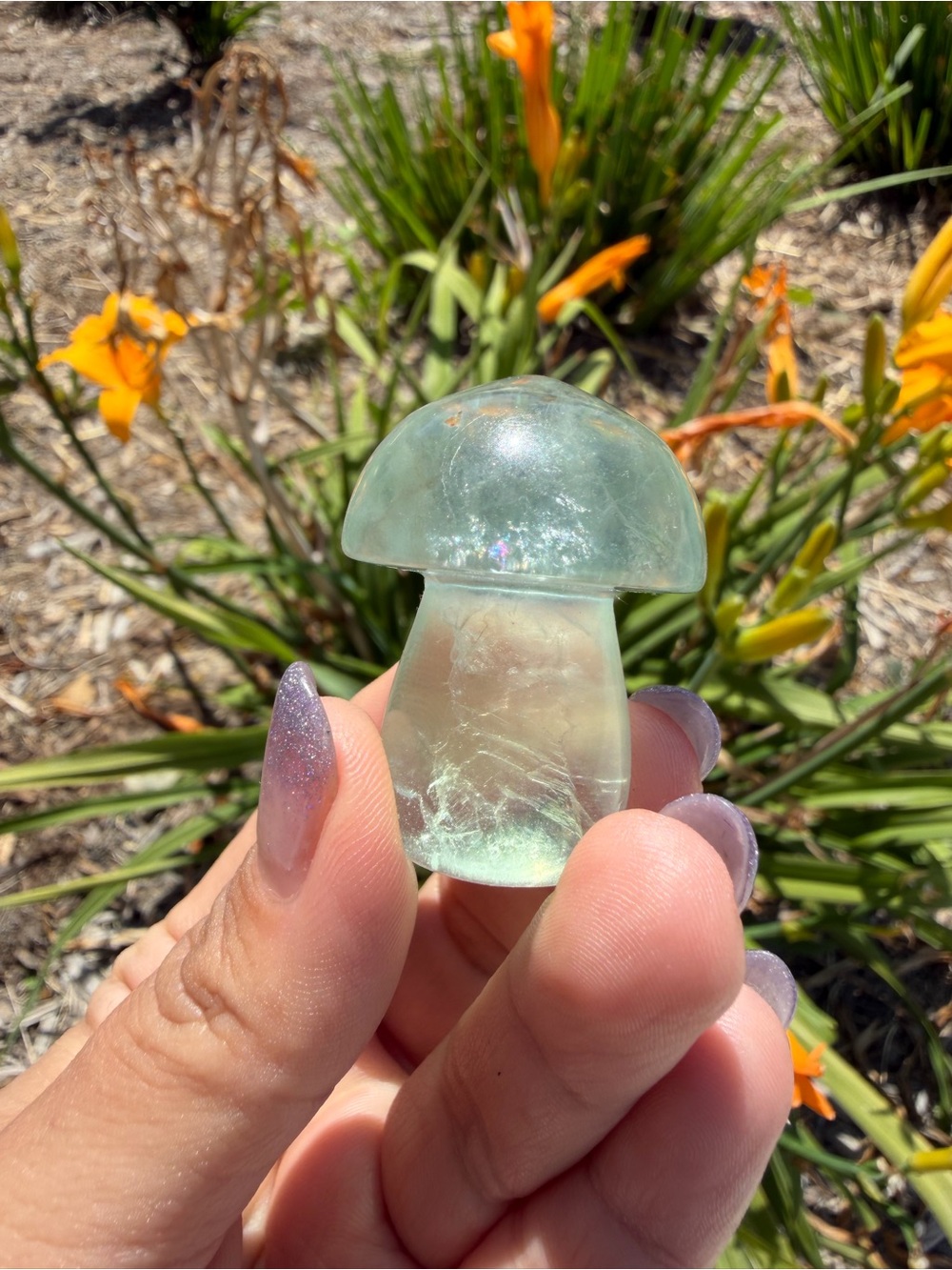 Small Natural Fluorite Mushroom Carving,Hand Carved Crystal Mushroom,A560